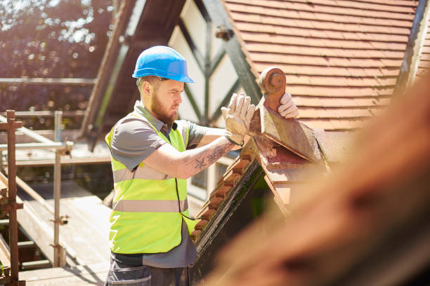 Best Roof Gutter Cleaning  in Ridgetop, TN